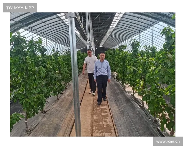 二手器材交易平台融资千万球板回收计划覆盖百校助力绿色校园经济