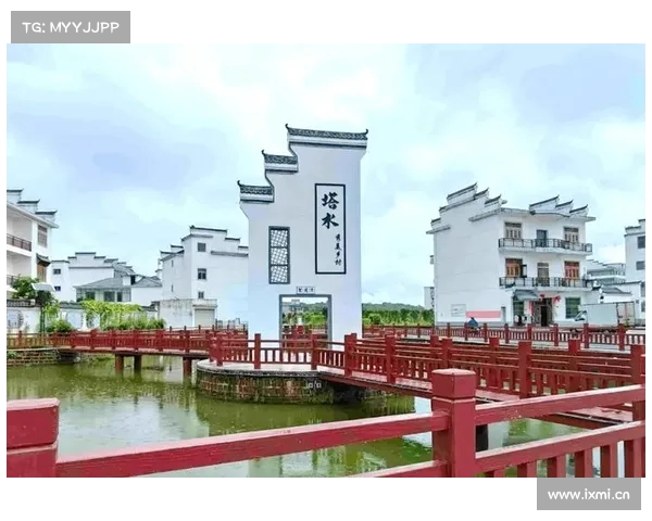 信州区茅家岭村BA圆满落幕 塔水村夺冠吸引18万人次观赛